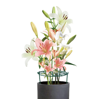 Support de plante en métal vert personnalisé grandir à travers la fonction pour les fleurs