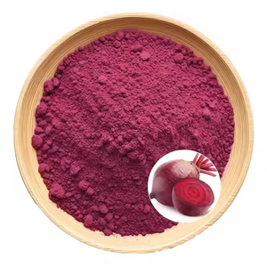 Bulk Wholesale Supplier Beetroot Powder 100% Pure & Natural Beet Root Powder for Natural Energy & Wellness Support at <b>Best</b> Price - Product Image 4