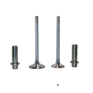 Par de Válvulas de Admisión y Escape para Massey Ferguson 819M1 733 818M1 A4212 A4236 MF35 65 135 165 265 - Product Image 1