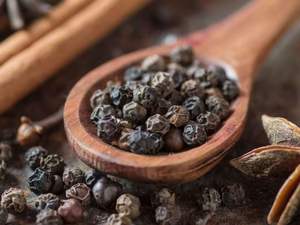 Pimienta Negra Vietnamita en Polvo Granulada de Primera Calidad 550GL, Pimienta Triturada para Sazonar Carne de Res - Product Image 3