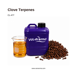 Clove Terpenes 100% Pure Natural Essential <b>Oil</b> (CL-477) Van Aroma - Product Image 1
