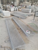 Carreaux de pierre gris en granit bleu de conception moderne pour projets