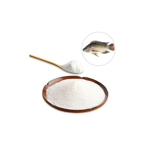Collagène de poisson de qualité supérieure, peptides, vente en gros, approvisionnement en vrac, export direct d'usine, qualité export. - Product Image 1
