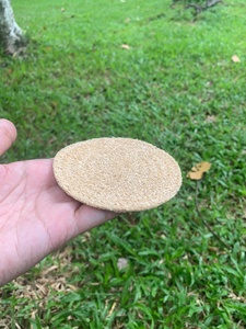 Esponja de Lufa 100% Natural Disponible, Cepillo Exfoliante Corporal Ecológico Sin Plástico, Servicio OEM ODM - Product Image 2