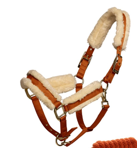 Cabestro ajustable de nailon premium para caballo con herrajes resistentes de Divine International - Product Image 2