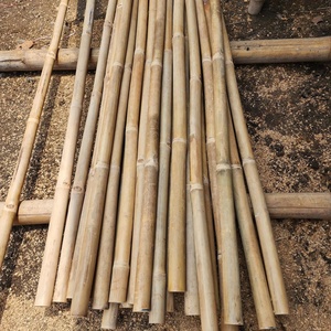 Poteaux en bambou doré traité du Vietnam, lot de piquets de 1 à 10 m de long, solides et épais pour l'agriculture, la construction et la décoration intérieure - SAFIMEX - Product Image 1