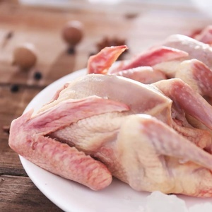 Fournisseur chinois de viande de pigeon frais congelé en gros Viande de pigeon rapide entière Meilleure vente Pigeon nourri aux grains entiers scellé sous vide - Product Image 2