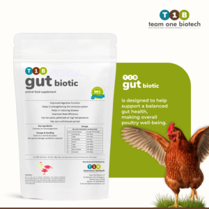 Action probiotique Améliorateur d'aliments pour volailles Complément alimentaire pour animaux - Product Image 2