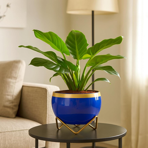 Petits pots de fleurs décoratifs bleus et dorés pour plantes d'intérieur, succulentes, cactus, petites plantes vertes, décoration de la maison - Product Image 3