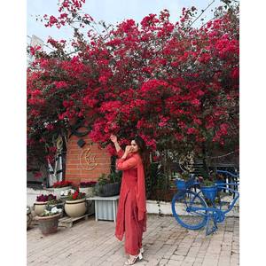 ชุดปาร์ตี้สำหรับผู้หญิงชุดบนสุดล่างสุดหรูสำหรับโอกาสพิเศษ - Product Image 6