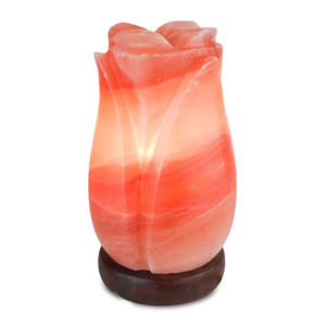 Lampe de sel rose de l'Himalaya personnalisée de haute qualité en forme de rose, en matériau organique, pour la décoration intérieure, motif animal sculpté - Product Image 1