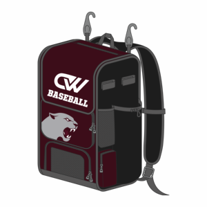 Wholesale Deuka Wears Custom Logo Sublimated 600D Polyester Baseball <b>Backpack</b> Multiple Pockets High Quality Youth <b>Training</b> Bag - Product Image 2