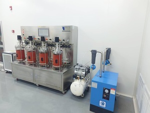 El biorreactor de vidrio de pared simple de recipientes paralelos Bailun 25L-2 reduce la dependencia de los sistemas de plástico desechables - Product Image 6