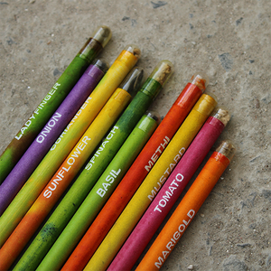 plantable <b>seed</b> pencil set | plantable pencils 12pc | recycled <b>paper</b> pencil set | eco friendly pencil set | plantable stationery - Product Image 5