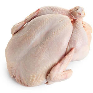 Pavo Entero Premium, Fresco y Congelado, Calidad de Exportación, Disponible al por Mayor para Suministro al por Mayor - Product Image 1