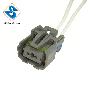 Support de lampe automobile 19168034 PT2390 H16 5202 2504 PSX24W faisceau de câblage de phare 2 broches femelle assemblage de phare - Product Image 1