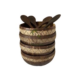 Tazón de Cáscara de Coco Vegano Natural al PRECIO MÁS BAJO con Juego de Cuchara de Madera, Tazón de Coco Artesanal para Smoothie, Acai, Buddha - Product Image 1