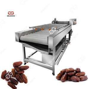 Date Processing Machine Washing Dry Machine 100kg/h Date Automatic Cleaning Sorting Equipment for Dried Fruit - Product Image 5