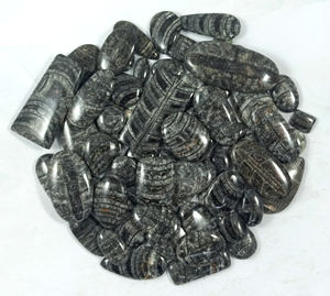 Wholesale Bulk Loose Gemstones Natural Orthoceras Fossil Cabochon <b>Healing</b> <b>Crystal</b> Quartz Mix Shape Loose Gemstone for <b>Healing</b> - Product Image 4