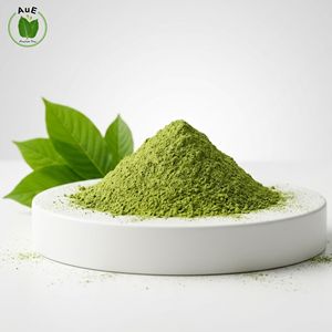 No se lo pierda: Polvo de Hoja Herbal Tailandesa MIT de Pureza 1.5% Favorito de los Clientes de AuE, 120 Mesh, Secado al Aire Caliente, Envasado al Vacío, Saludable - Product Image 2