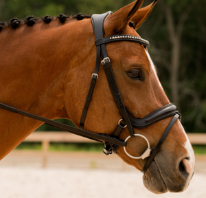 Brida de Cuero Profesional de Alta Calidad para Caballos, Transpirable, Modelo Personalizado 10124bl, Tamaño 2x3x2m, Venta Caliente, China, Equitación - Product Image 2