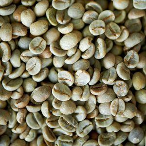 Granos de Café Verde Robusta de Origen Vietnamita, Pureza del 95 al 99%, Tamaño 16, Bolsas a Granel, Alta Calidad, Fábrica de Café Vietnamita - Product Image 1