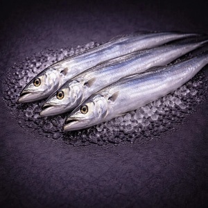 Poisson ruban congelé de qualité supérieure pour les importateurs de produits de la mer, avec une transformation propre et une offre en gros fiable. Meilleur poisson ruban congelé. - Product Image 1