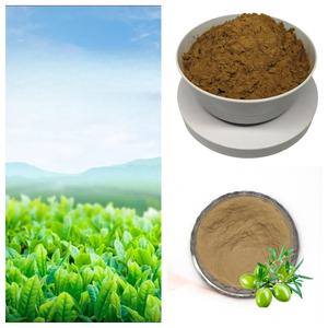 <span class=keywords><strong>C12</strong></span>-<span class=keywords><strong>15</strong></span>กรดเบนโซอิกแอลกิลเอสเทอร์99% <span class=keywords><strong>C12</strong></span>-<span class=keywords><strong>15</strong></span> - Product Image 6