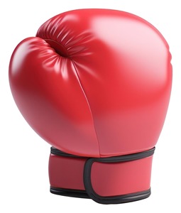 Guantes de Boxeo de Cuero HRM, Estilo Retro/Vintage, Ligeros, Ecológicos, con Cierre de Cremallera, para Adultos, Promocionales, Surtidos - Product Image 6