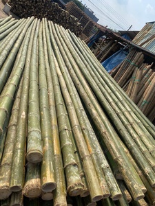 Pôles en bambou du Vietnam en gros - Pôle/canne/bâton/piquet en bambou 100% naturel, écologique, exporté dans le monde entier - Product Image 5