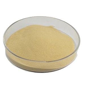 Fabricante de enzima proteasa alcalina de grado alimenticio, polvo de alta concentración para hidrólisis de proteínas, suministro industrial - Product Image 4