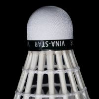 Volant de badminton de tournoi ultra-résistant à 3 couches, avec tête en liège et plumes d'oie droites, anti-choc, le plus durable