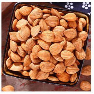 Amandes de qualité supérieure à vendre à prix avantageux - Product Image 5