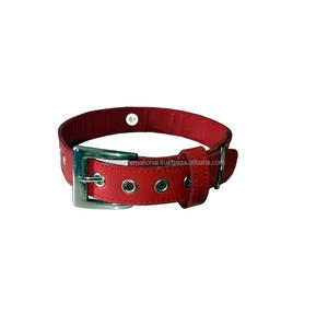 Collier de chien en cuir de qualité royale, avec rembourrage doux - Product Image 1