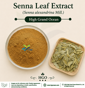 Suministro Directo de Fábrica HGO, Extracto de Hoja de Senna (Senna alexandrina Mill.) Extracto de Grado Alimenticio en Proporciones 4:1 5:1 10:1 20:1 100:1 200:1 - Product Image 1