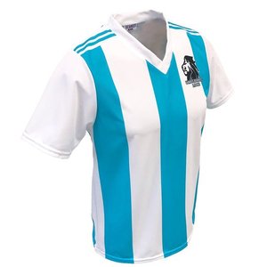 Maillot de volley-ball pour hommes personnalisé de haute qualité, rayures verticales aqua et blanches, sublimation intégrale, maillot de football - Product Image 3