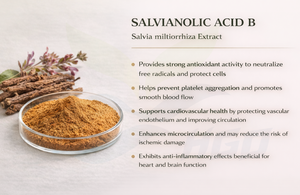 Approvisionnement direct d'usine HGO d'extrait de salvia miltiorrhiza naturel pur (qualité alimentaire santé) spécification acide salvianolique B 15% - Product Image 2