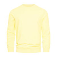 Sweat-shirt d'hiver à col rond coupe classique, pull décontracté de qualité supérieure avec impression numérique et broderie, tissu polyester/coton