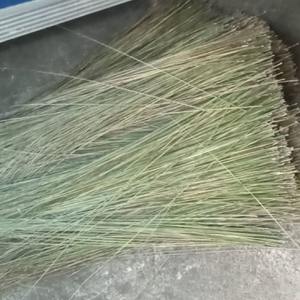 Bâtons de balai en matière de palmier pour usage extérieur, maison et jardin - Sapu Lidi - Product Image 2