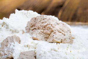 pure yeast <b>isolate</b> vegan <b>protein</b> ingredient for plant based nutrition product development - Product Image 4