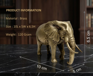 Jaipur Metals Pure Brass Plated Wild <b>Elephant</b> Idol | 100% Brass | 10 x 5 x 6.5 cm | 120 g | Home Décor & <b>Gift</b> - Product Image 3