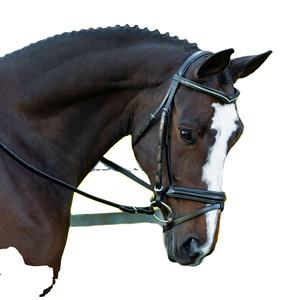 ผู้ผลิตหนังม้าแท้ คุณภาพดี คุณภาพสูง ผู้ผลิตหนังม้าแท้ - Product Image 1