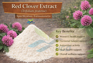 Suministro Directo de Fábrica HGO de Extracto Puro y Natural de Trébol Rojo, Grado Alimenticio, Especificación 98% Formononetina, Extracto Estandarizado - Product Image 2