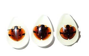 Cabochon Six Star Ladybird Beetle Pear Shape cut <b>top</b> 25x17 mm Glow Flat Bottom for Crafts and Jewelry Making - Product Image 4