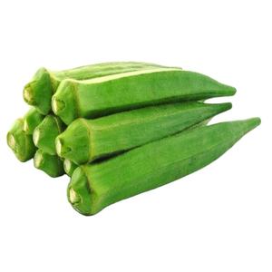 fine quality fresh green lady finger / okra