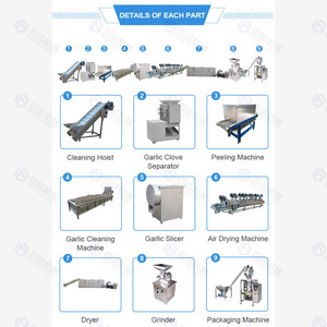 Baixin Machinery Ligne de traitement de la poudre d'ail Machines entières Ligne de production d'épluchage d'ail - Product Image 2