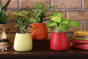 Maceta de cerámica para suculentas, hierbas y plantas de floración. Elegante maceta de cerámica para decoración moderna del hogar y jardín. - Product Image 3