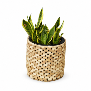 Soporte para plantas de madera de acacia natural asequible, maceta de jardín al aire libre de estilo ladrillo para venta al por mayor - Product Image 1