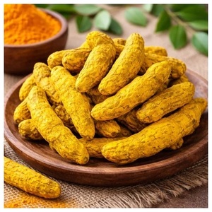 Cúrcuma de Salem de Origen Indio, Dedos de Cúrcuma con Alto Contenido de Curcumina, Raíz de Cúrcuma Entera Natural, Proveedor Premium de Exportación - Product Image 1