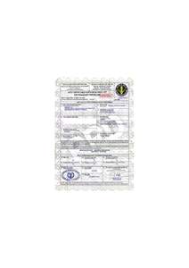 Gingembre frais/Jahe/ Shoga | Meilleures recettes et bienfaits pour la santé au Vietnam (W...A: + 84366808683) - Product Image 5